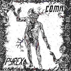 Cover of Coma