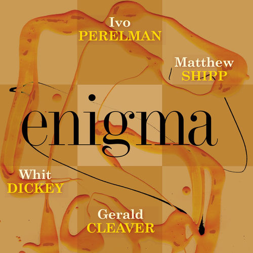 Enigma sleeve