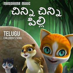 Cover of Cinni Cinni Pilli