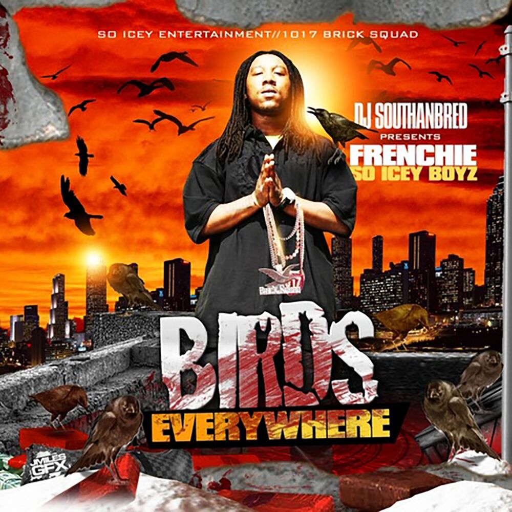 Picture of Birds Everywhere