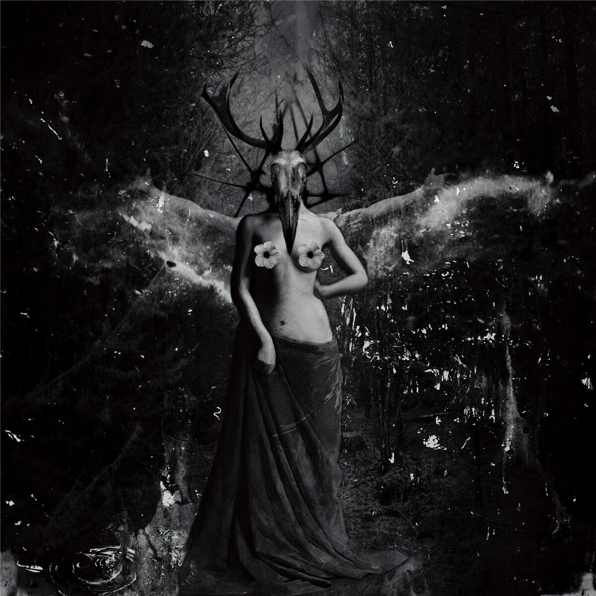 Album cover of Klĭtôrĭs