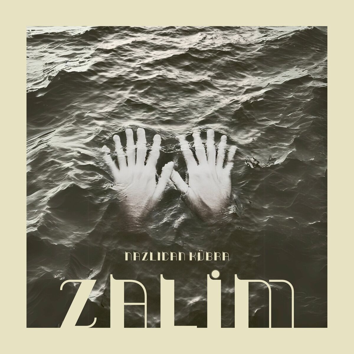Album cover of Zalim