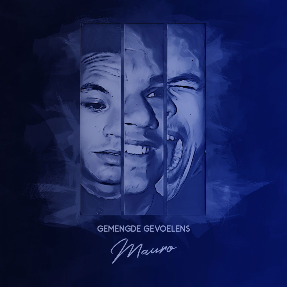 Picture of Gemengde Gevoelens