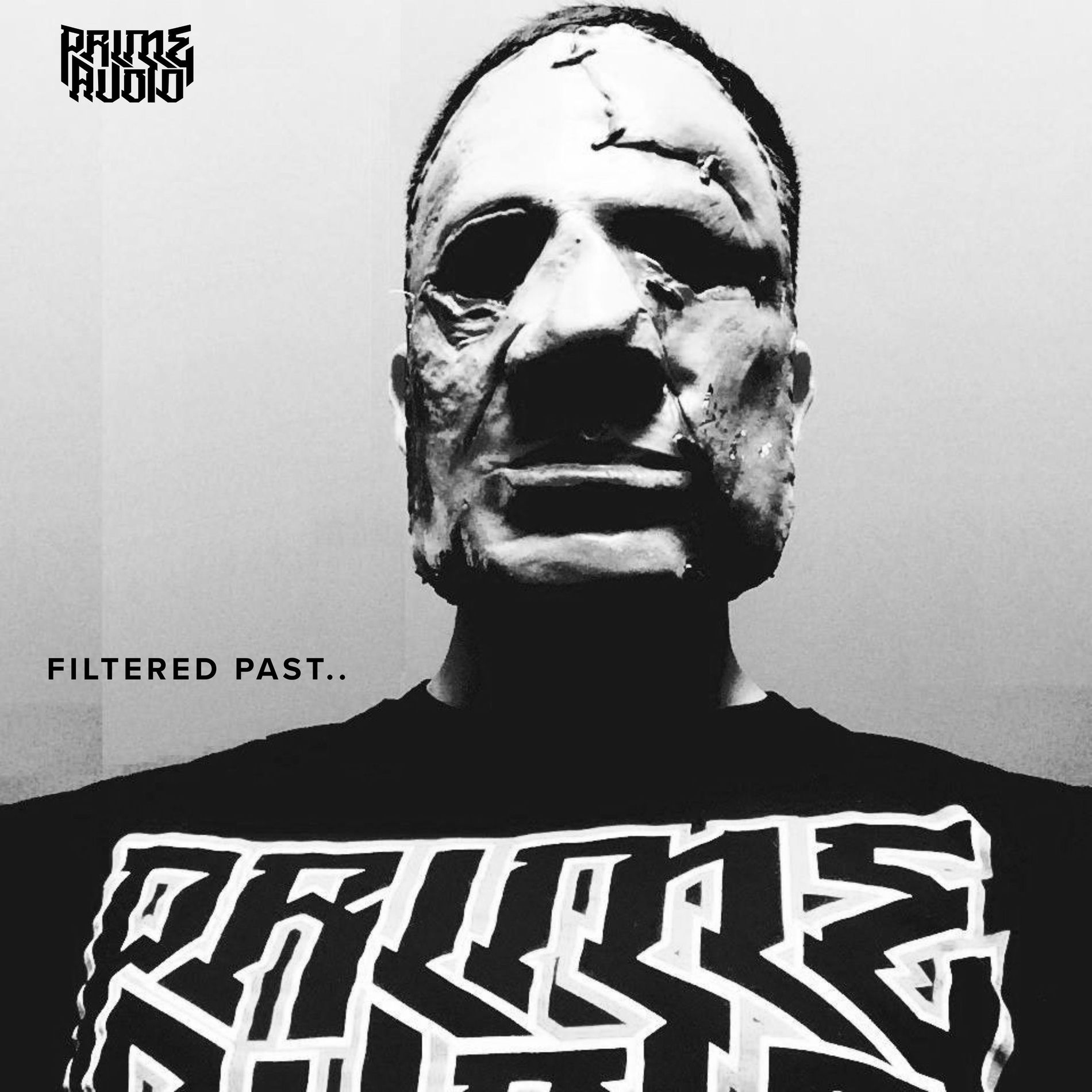 Album cover of Filtered Past