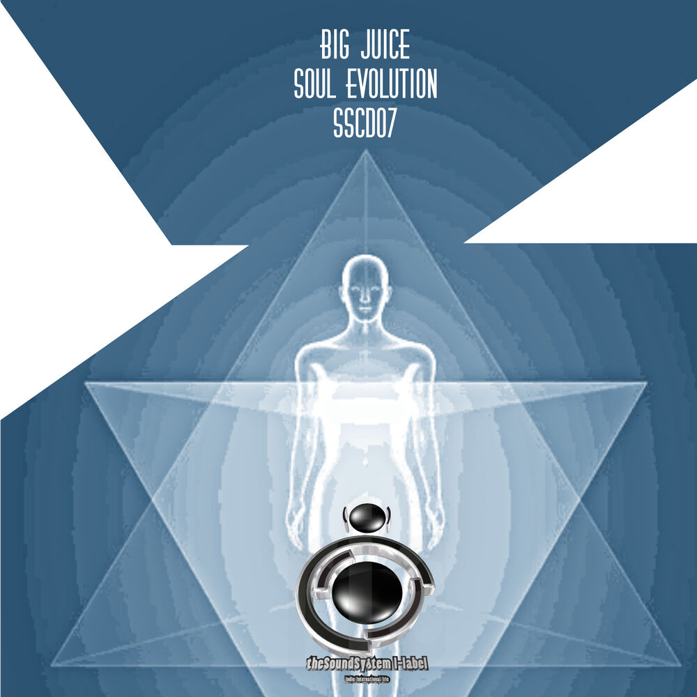 Picture of Soul Evolution