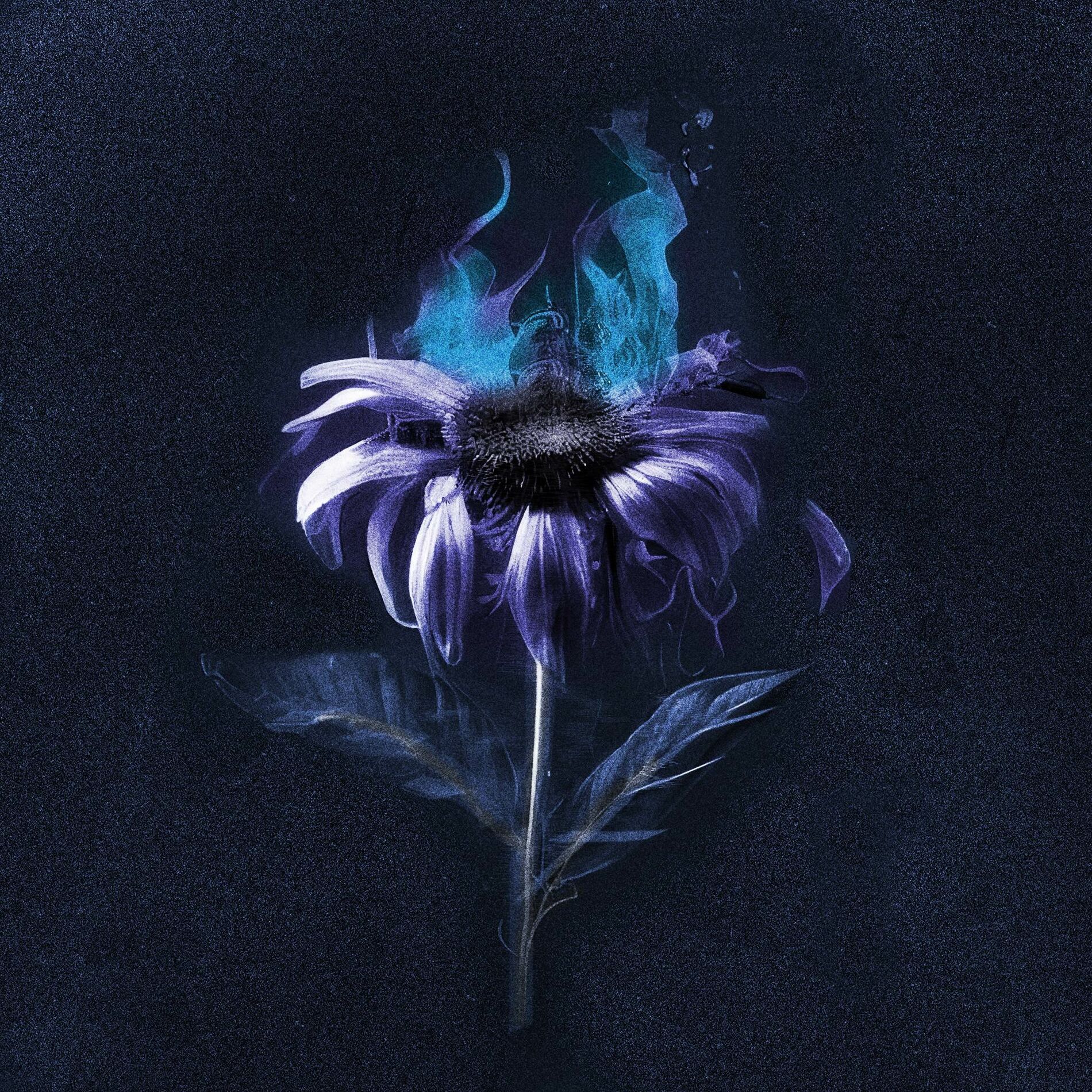 Album cover of If You Fall