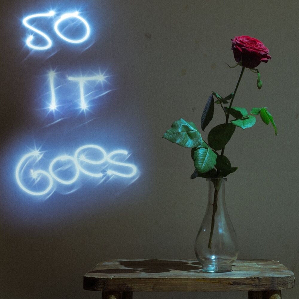 Picture of So It Goes