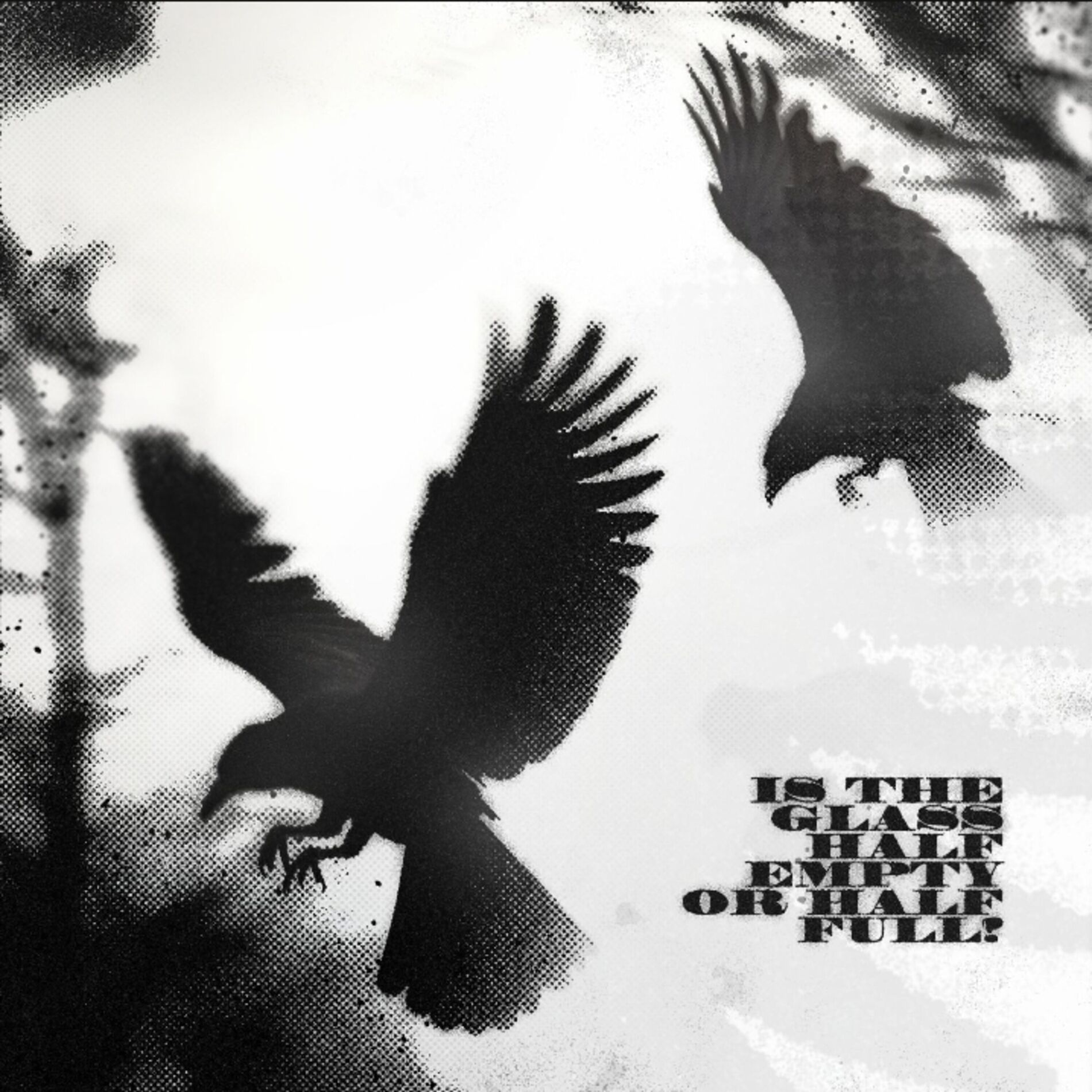 Album cover of Is the Glass Half Empty or Half Full?