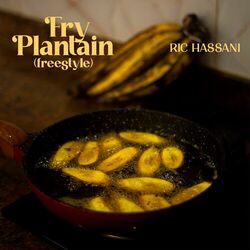 Cover of Fry Plantain (Freestyle)