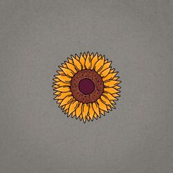 Cover of about you now (live acoustic)