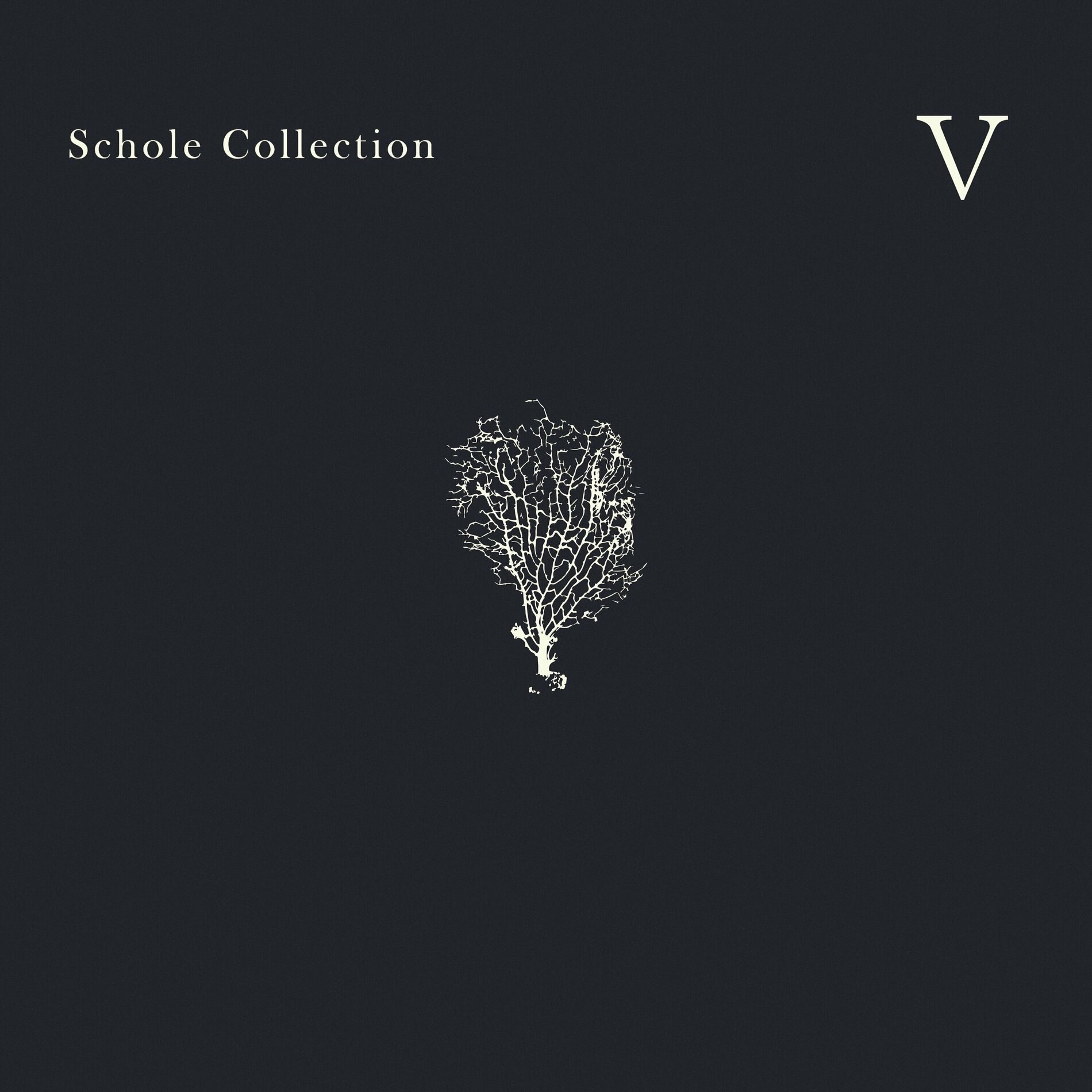 Album cover of Schole Collection V