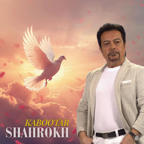 Kabootar