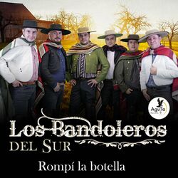 Cover of Rompí la Botella