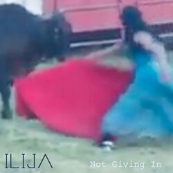 Cover of Not Giving In
