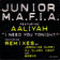 I Need You Tonight (Boskos Remix) by Aaliyah album cover