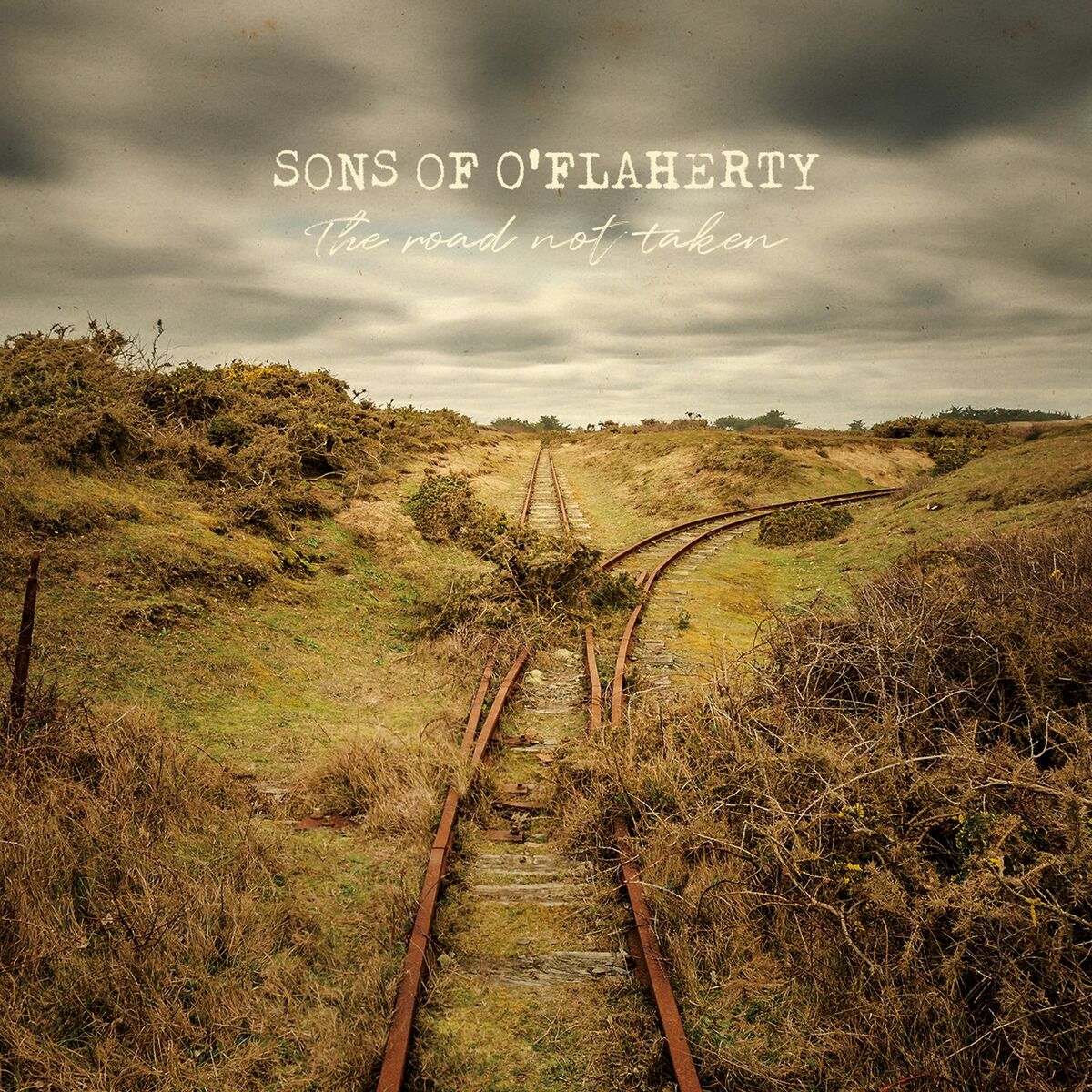 Album cover of The Road Not Taken