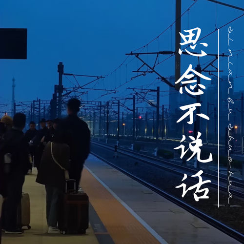 思念不说话