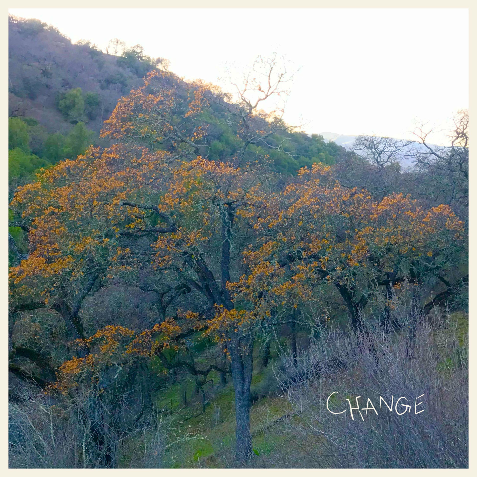 Album cover of Change