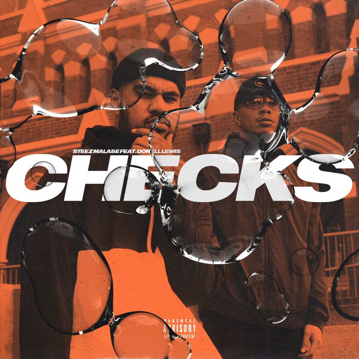 Album cover of Checks