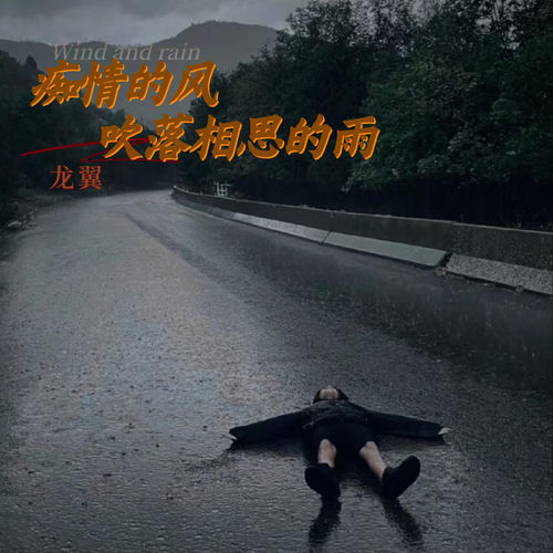 痴情的风吹落相思的雨
