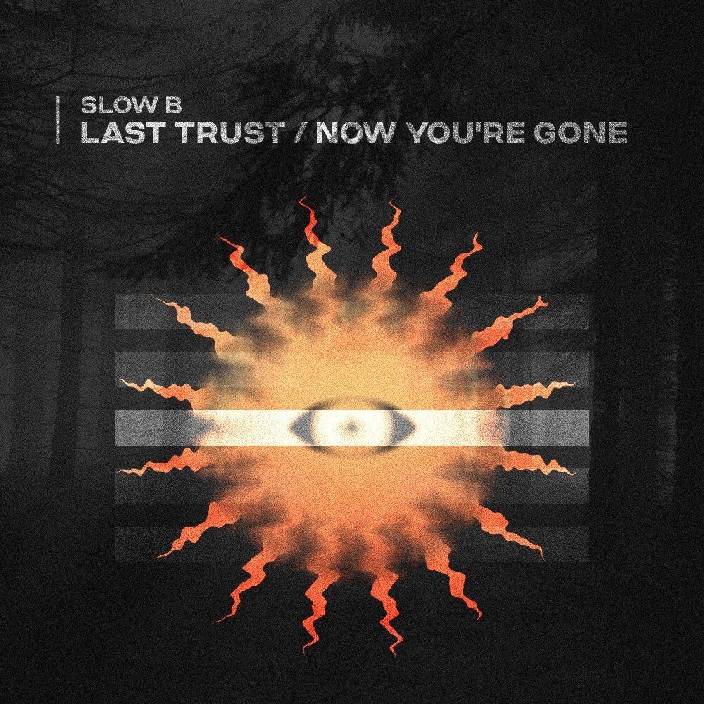 Picture of Last Trust \ Now You're Gone