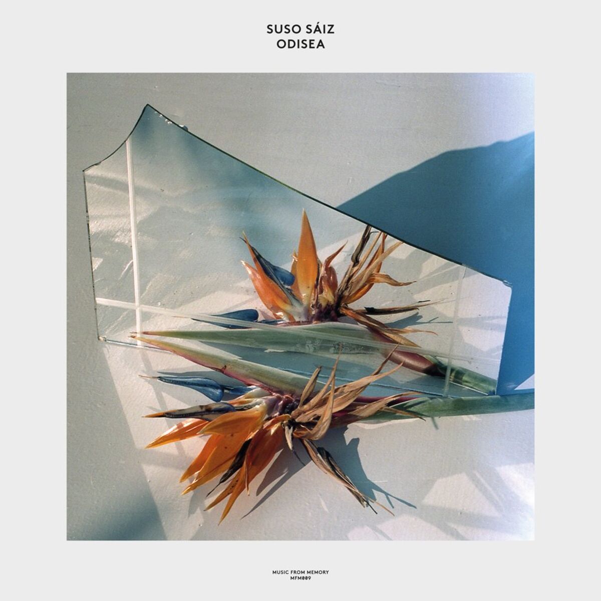Album cover of Odisea