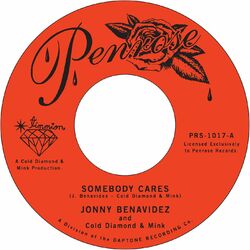 Cover of Somebody Cares