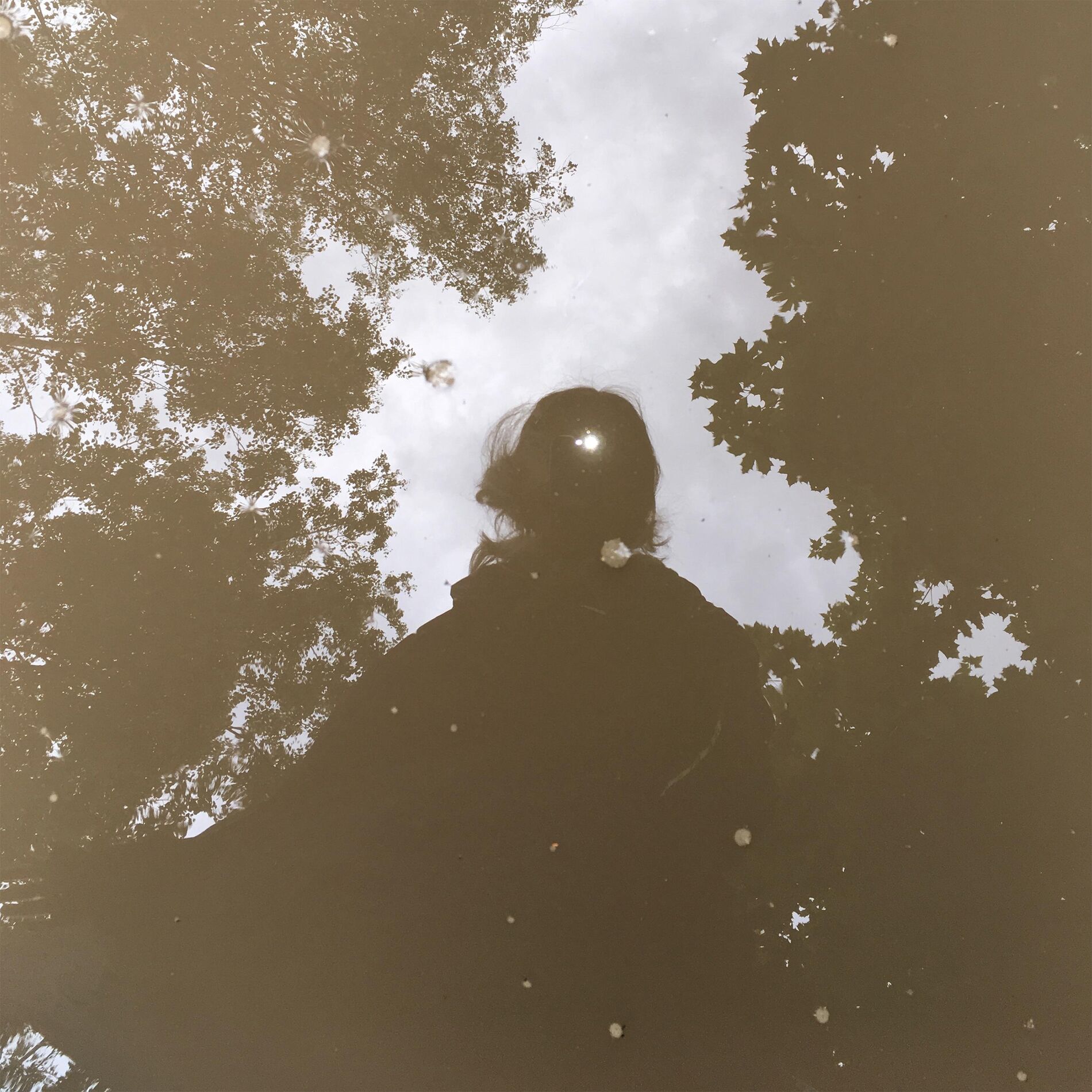 Album cover of Glimpse