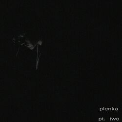 Cover of Pt. Two