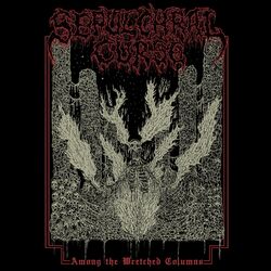 Cover of Among the Wretched Columns