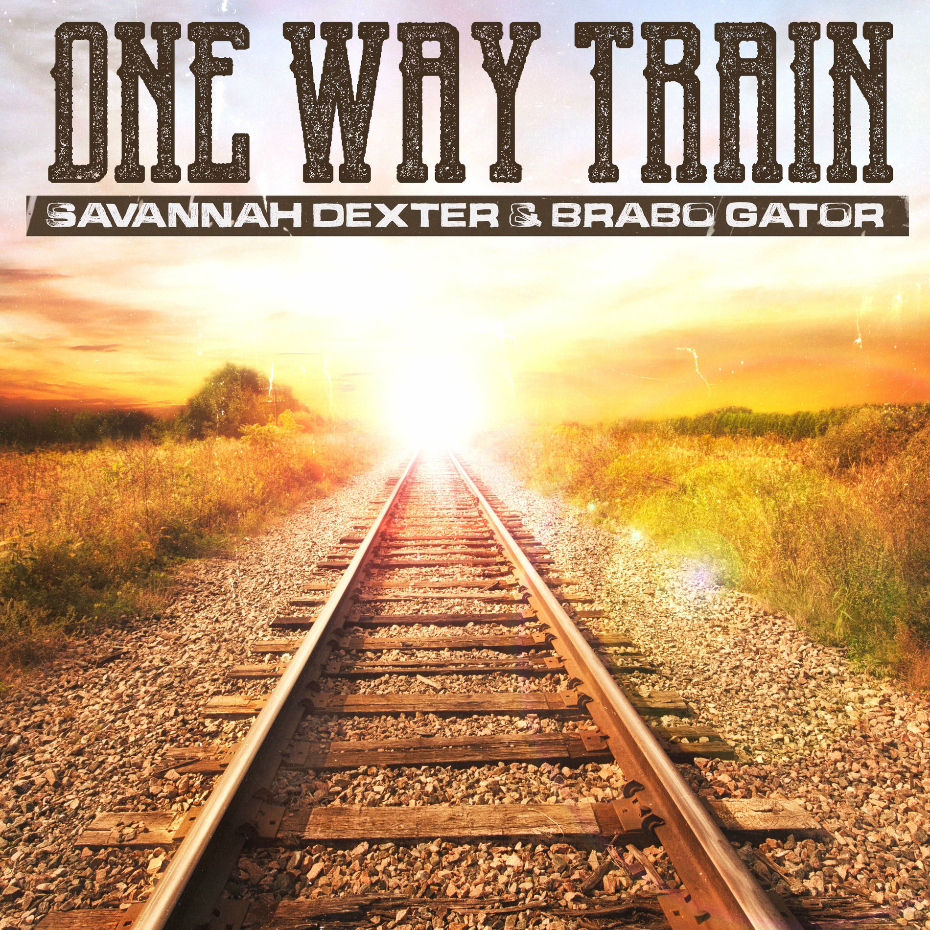 Album cover of One Way Train
