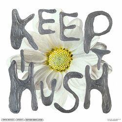 Cover of Keep It Hush