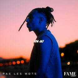 Cover of Pas Les Mots