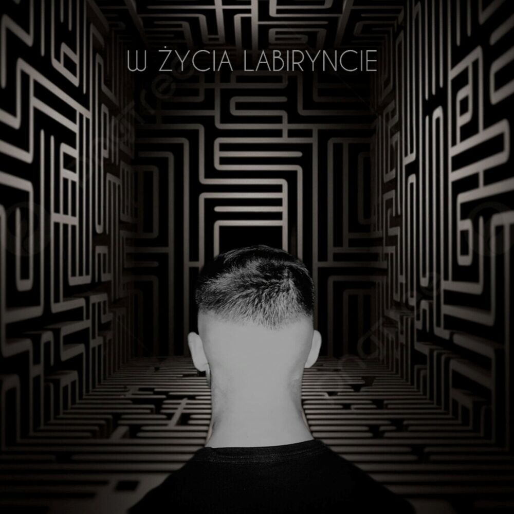 Picture of W ŻYCIA LABIRYNCIE