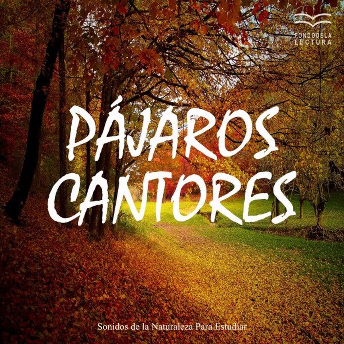 Album cover of Sonidos de la Naturaleza para Estudiar: Pájaros Cantores