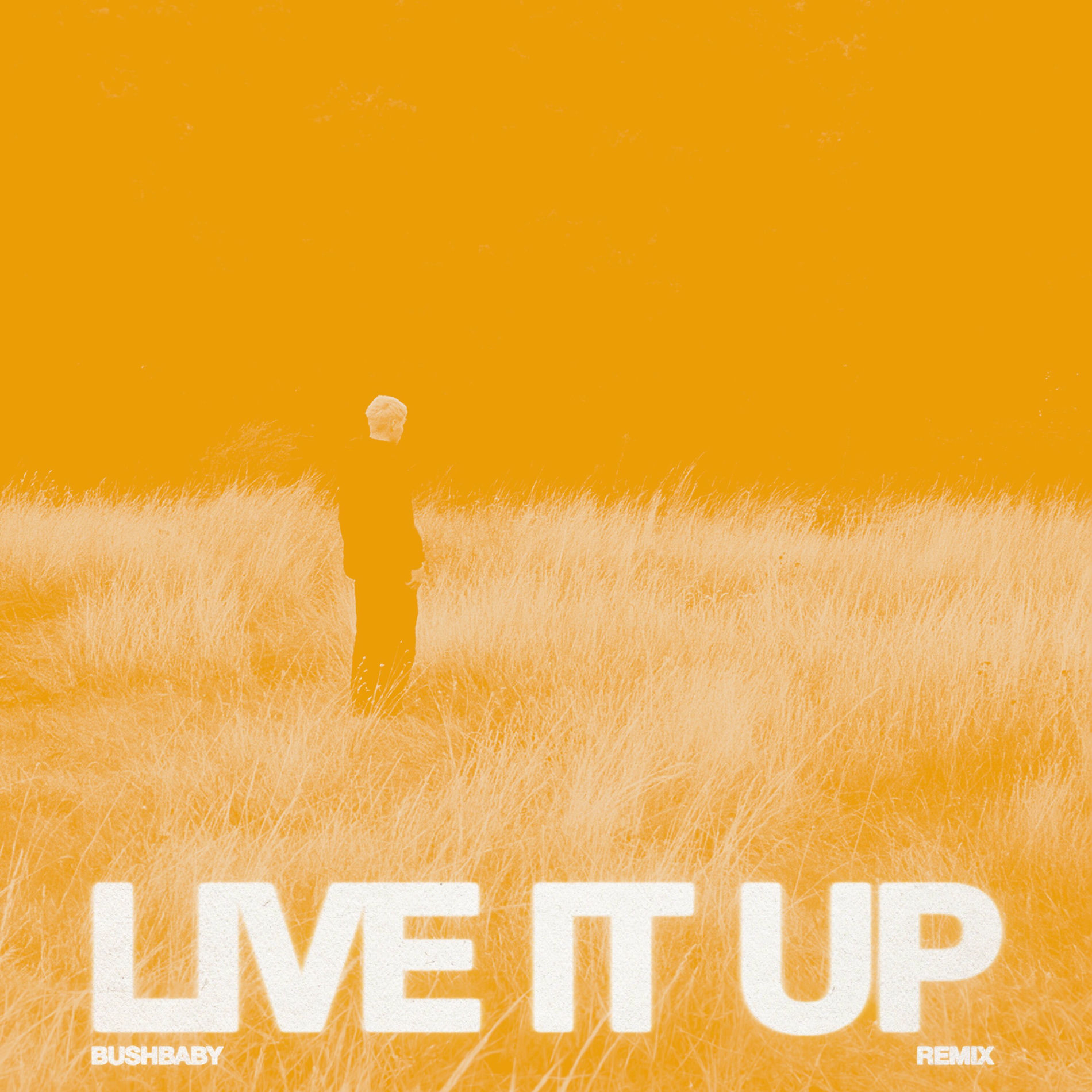 Album cover of LIVE IT UP (Bushbaby Remix)