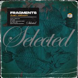 Cover of Fragments 4K