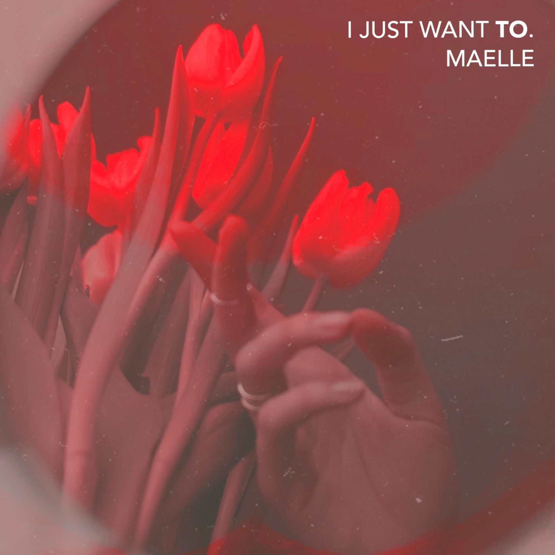 Album cover of I Just Want To (feat. Drvmmer)