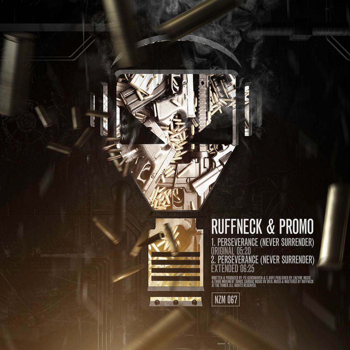 Album cover of Perseverance (Never Surrender) (Original Mix)