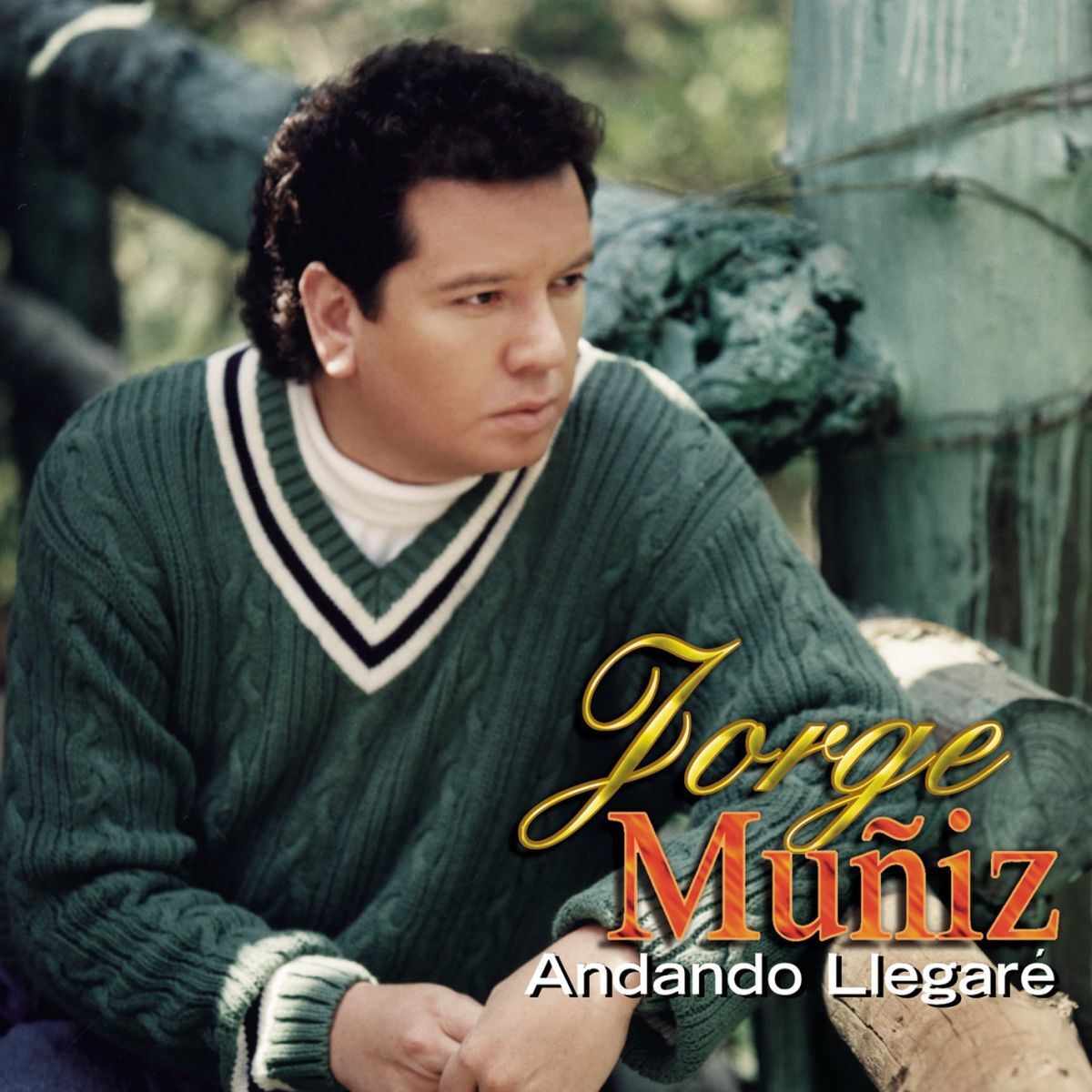Album cover of Andando Llegaré
