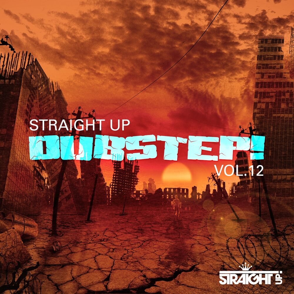 Picture of Straight Up Dubstep! Vol. 12