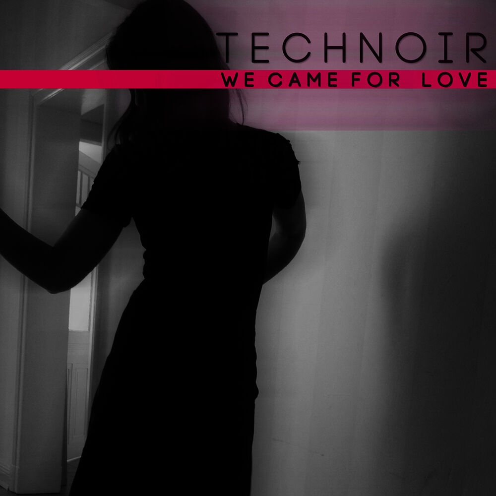 Picture of We Came for Love