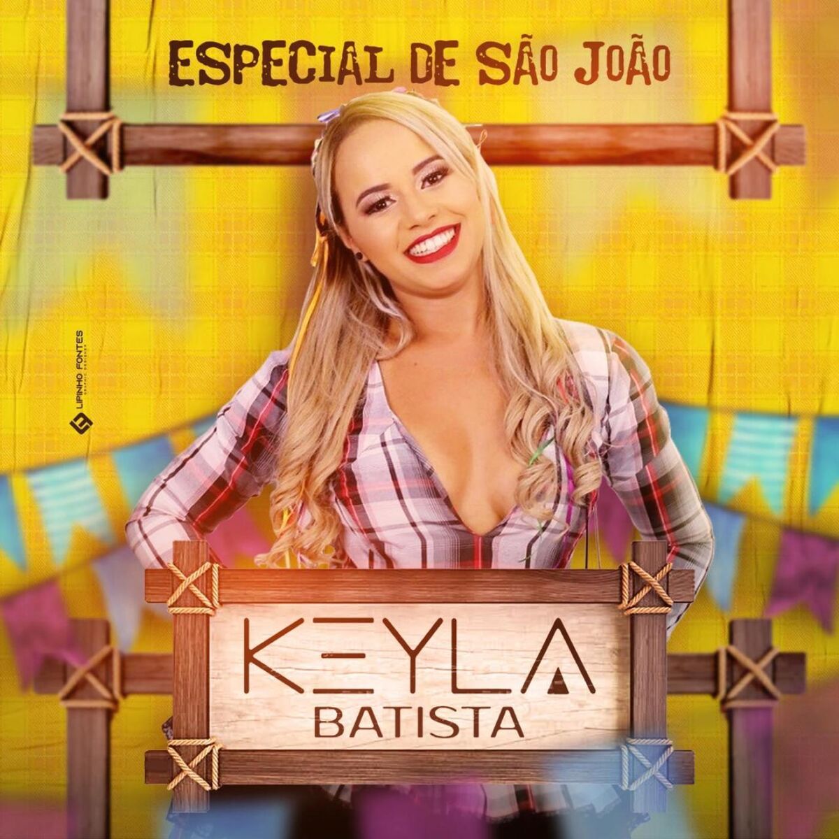 Album cover of Especial de São João