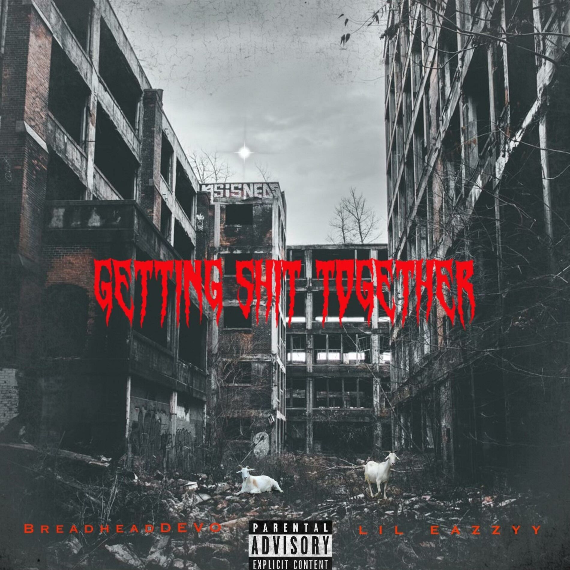 Album cover of Getting Shit Together (feat. Lil Eazzyy)