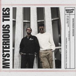 Cover of Mysterious Ties