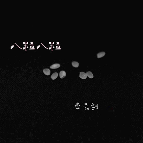 八粒八粒
