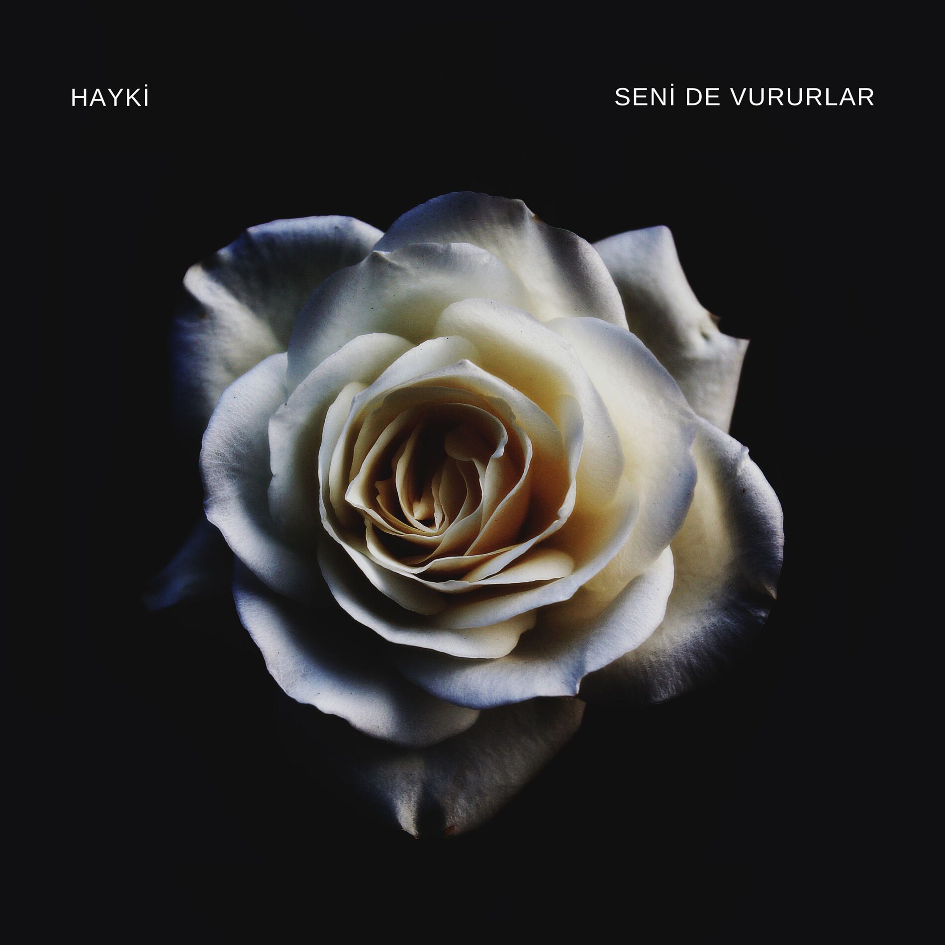 Album cover of Seni de Vururlar (Acoustic Live)
