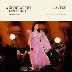 A Night At The Symphony: Live at the Hollywood Bowl