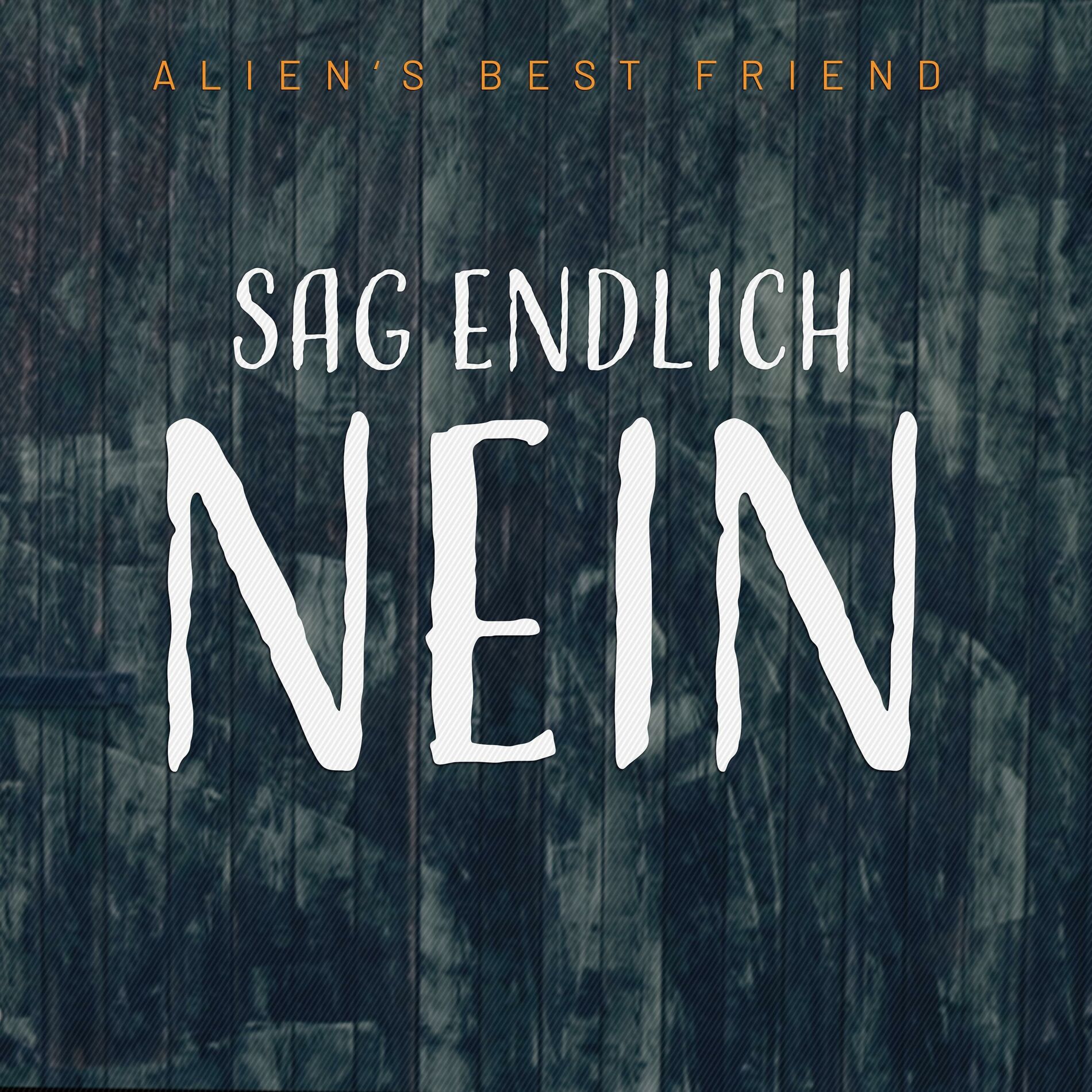 Album cover of Sag endlich NEIN