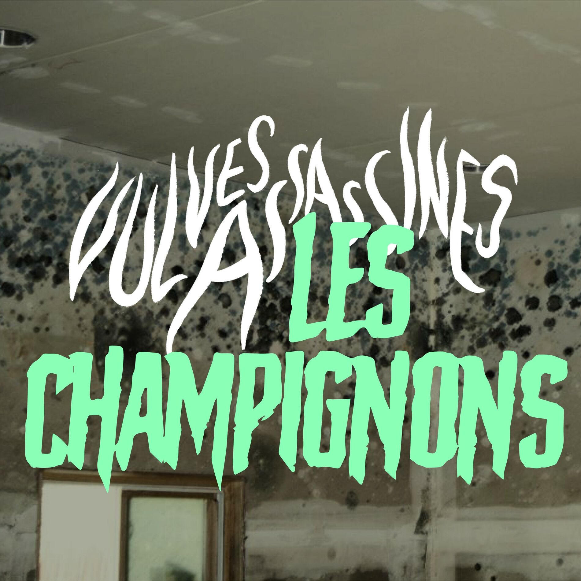 Album cover of Les champignons